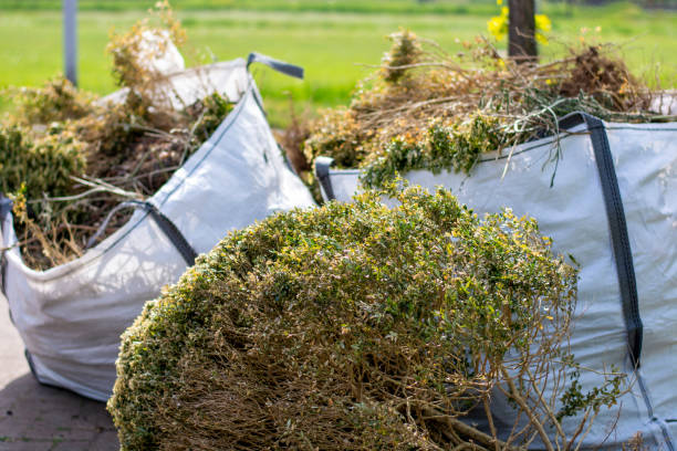 Best Commercial Cleanout Services  in Big Stone Gap, VA